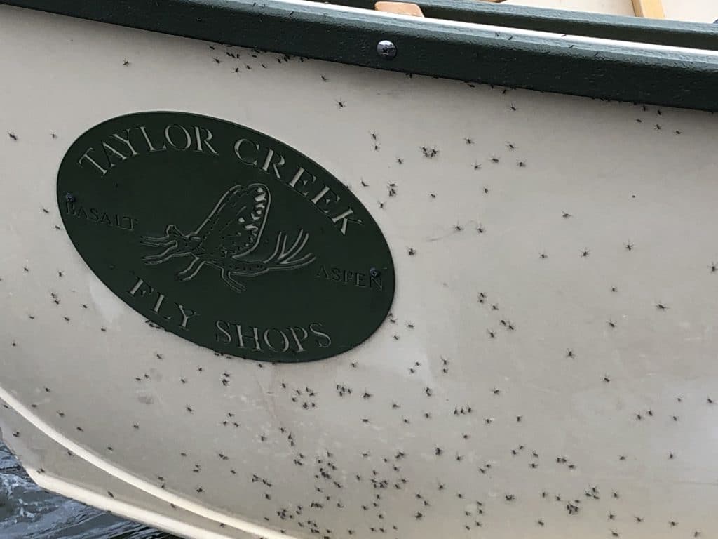 On the Fly The springtime hatches are here in the valley; are you ready?